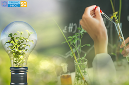 Ngành Khoa học môi trường - 7440301