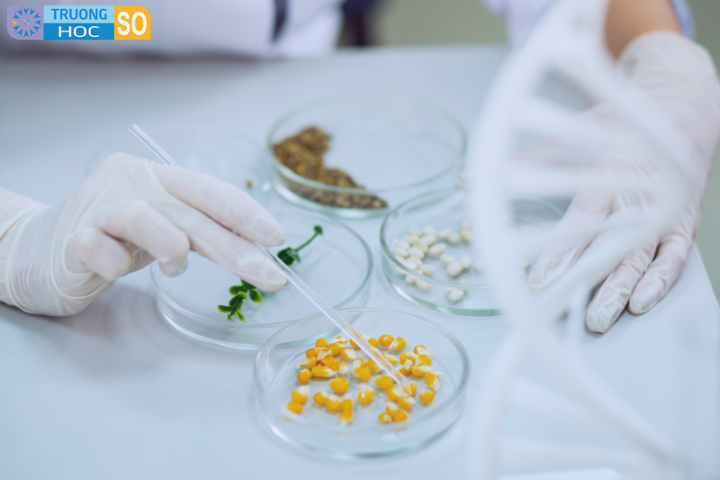 Ngành Kỹ thuật sinh học - 7420202