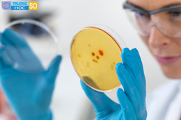 Ngành Sinh học - 7420101