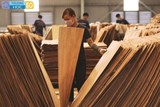 Ngành Công nghệ chế biến lâm sản - 7549001