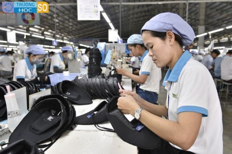 Ngành Công nghệ da giày - 7540206