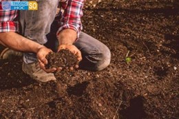 Ngành Khoa học đất - 7620103