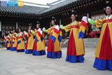 Ngành Hàn Quốc học - 7310614