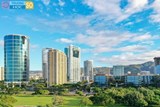 Ngành Lâm nghiệp đô thị - 7620202